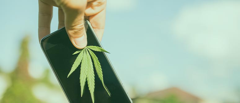 Top 6 des comptes snapchat cannabis à suivre