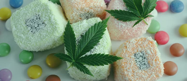 Können edibles schlecht werden?