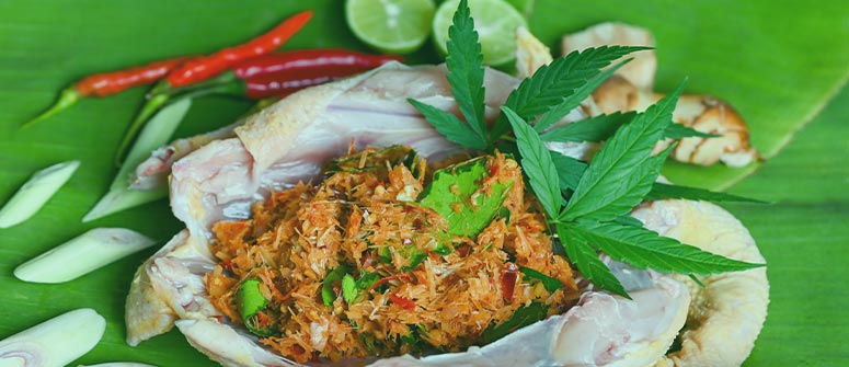 Cómo preparar pollo con thc: 2 recetas