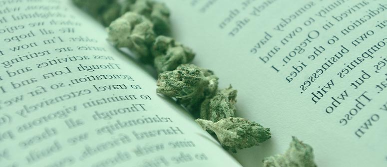 10 libri da leggere per i coltivatori di cannabis principianti