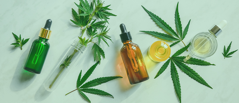 Is cbd legal in france? 