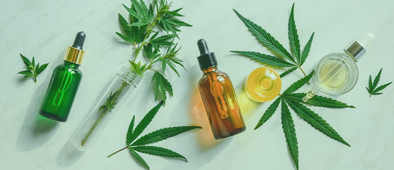 Le cbd est-il légal en france ?