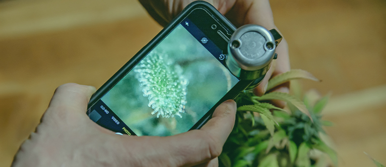 Para el cultivador