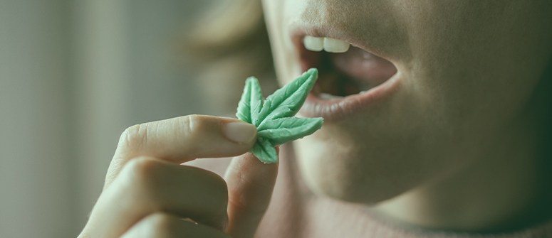 Pros y contras de los comestibles de marihuana