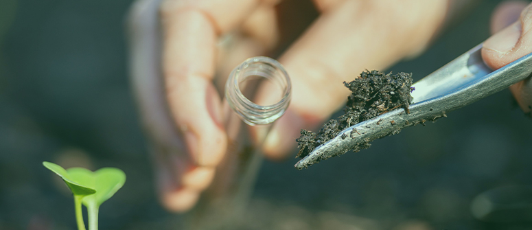 Die bedeutung von bodenmikroben für cannabispflanzen