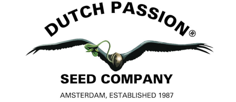 5. dutch passion