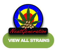 NEXT GENERATION SEED COMPANY