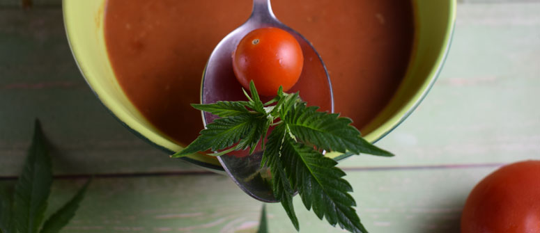 SOPA DE TOMATE DE CANNABIS