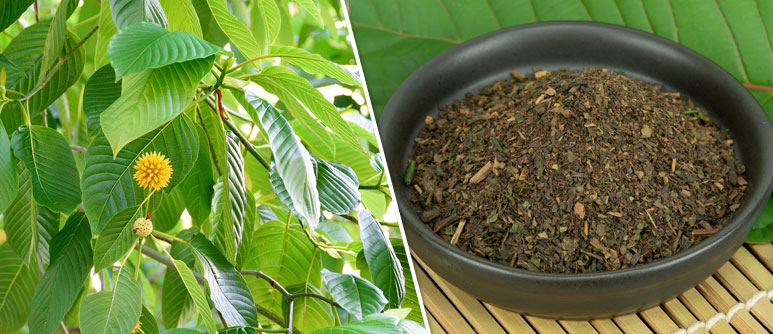 KRATOM KRATOM