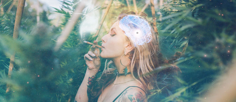 EL CANNABIS Y LA GLÁNDULA PINEAL