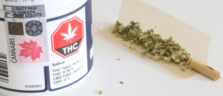 ¿ESTÁS SEGURO DE QUE LA HIERBA CONTIENE THC?