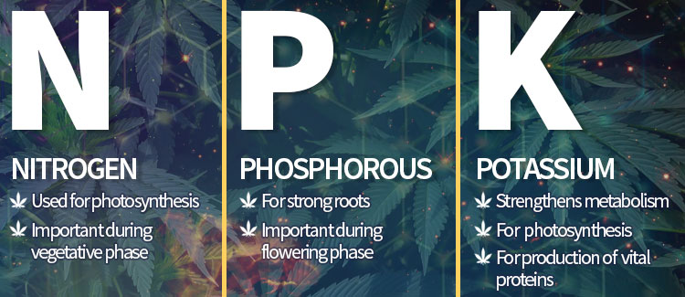 Cannabis Nutrient Chart