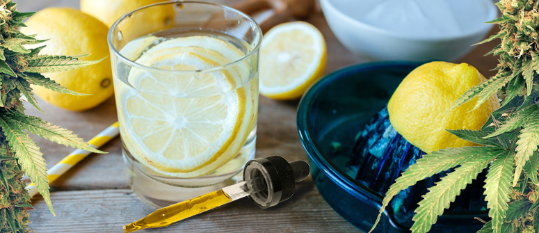 CÓMO PREPARAR LIMONADA DE CANNABIS