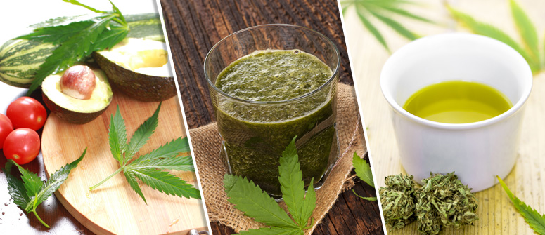 COME INTEGRARE LA PROPRIA DIETA CON LA CANNABIS CRUDA