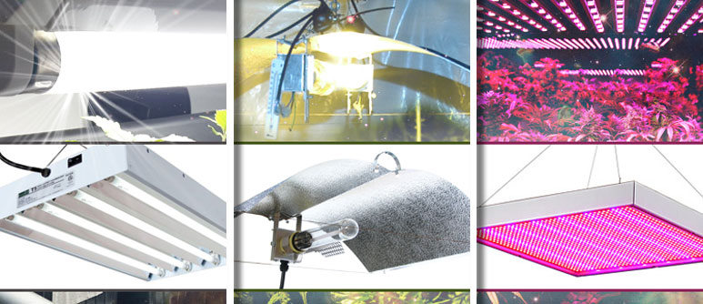 Different kinds of grow lights