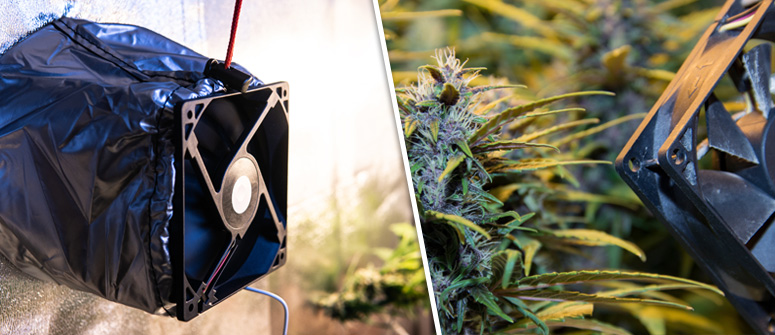 étape 5 : installer un système d'échange d'air dans votre espace de culture de cannabis