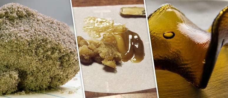 WIE MAN TRICHOME VON CANNABIS TRENNT
