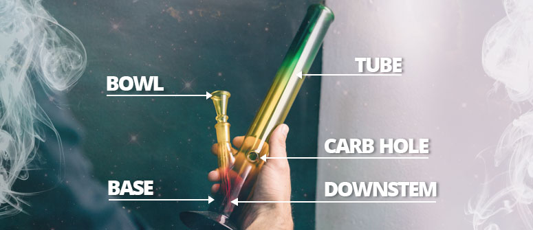 ANATOMY OF THE BONG