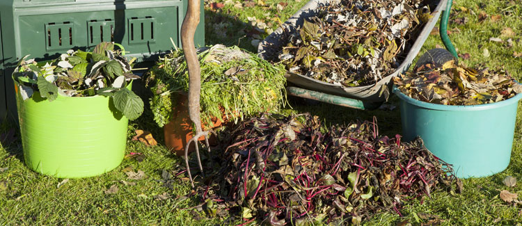 Compostare per evitare qualsiasi organismo indesiderato