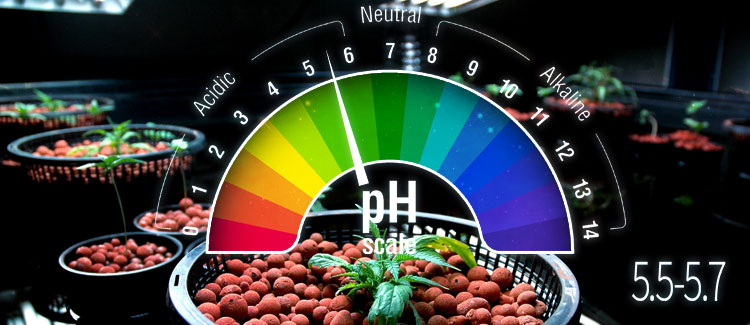 Hydro ideal pH: 5.5-5.7