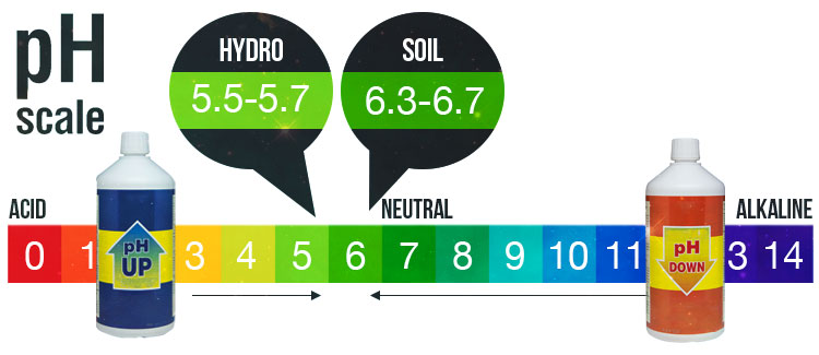 CORRECTING pH OF WATER AND NUTRITION