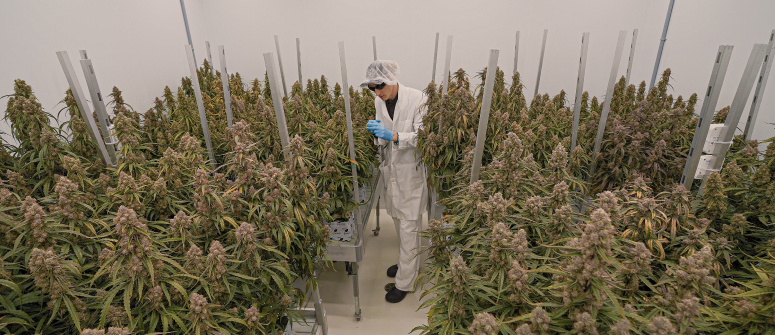 RQS x CRIC Labs Trial