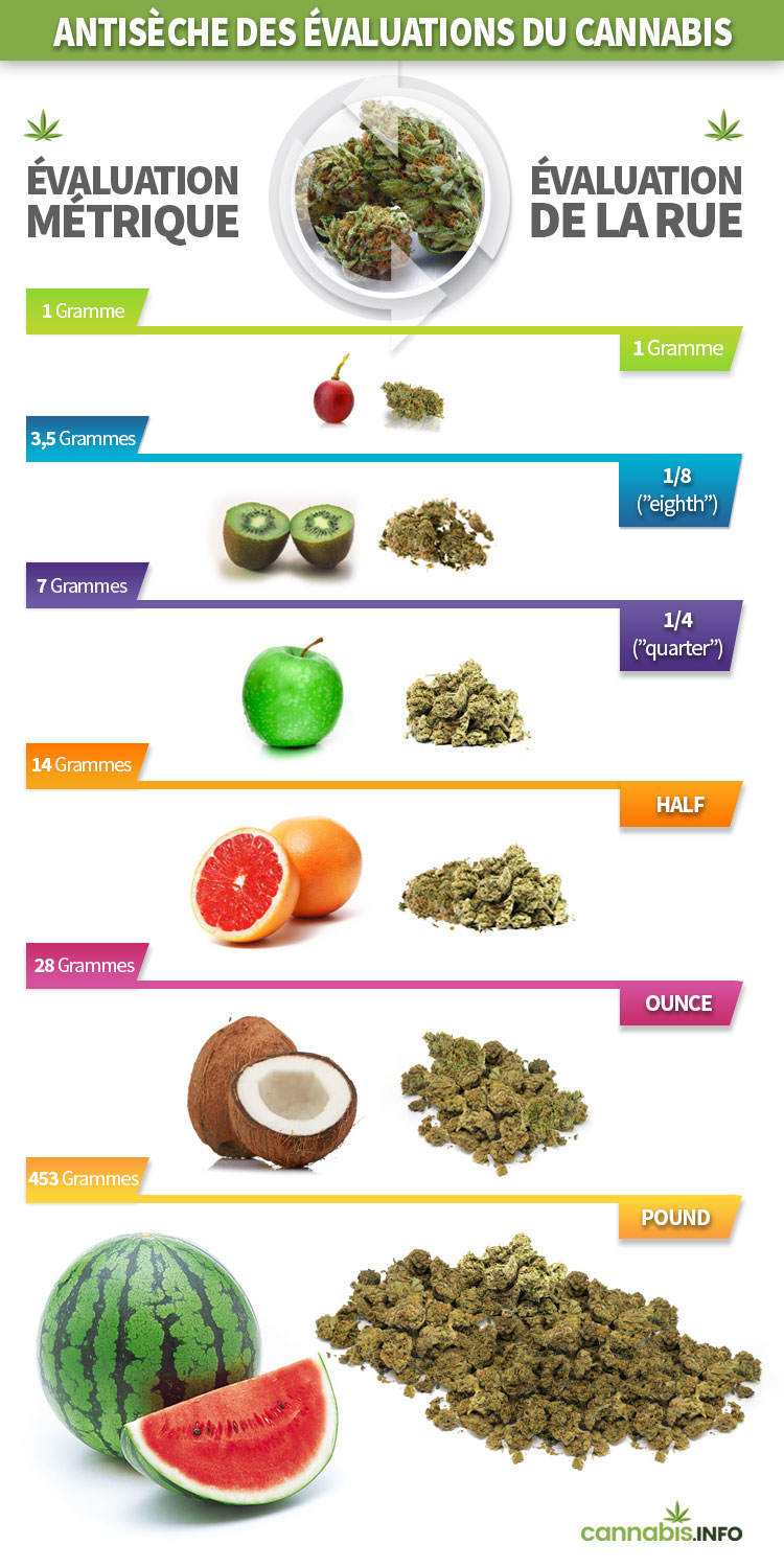 Des Quantit s De Cannabis D routantes Grammes Quarters Dimes Et des-quantit-s-de-cannabis-d-routantes-grammes-quarters-dimes-et