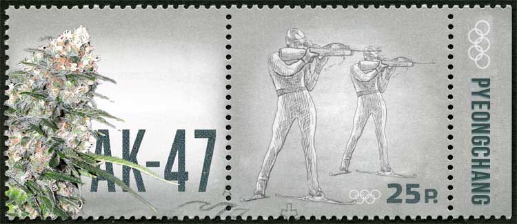 Biathlon - ak-47