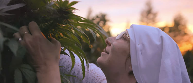 Weed-nuns on a mission