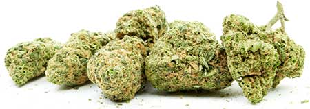 Bonus strain: orange bud