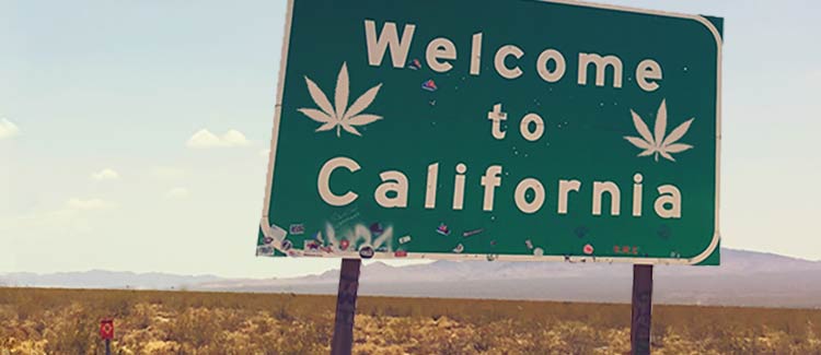 La california cancella i registri penali collegati alla cannabis