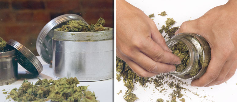 PREPARING CANNABIS TEA