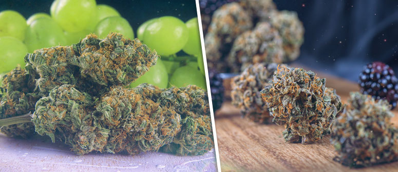 11 Tips For The Best Wake N Bake Cannaconnection Com