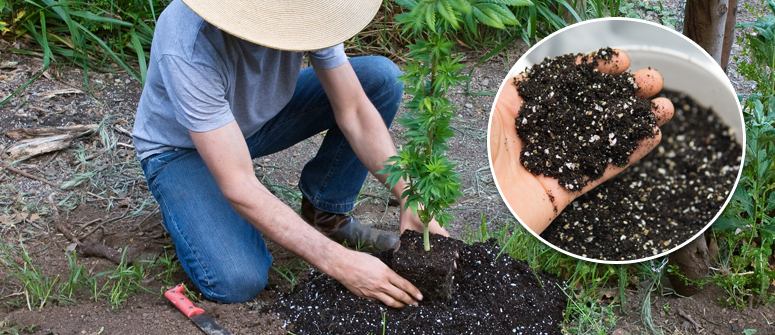 OFFREZ À VOS PLANTES TOUS LES NUTRIMENTS DONT ELLES ONT BESOIN