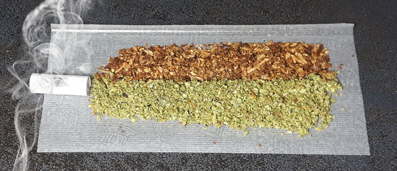 QU’EST-CE QU’UN SPLIFF ? QU’EST-CE QU’UN SPLIFF ?