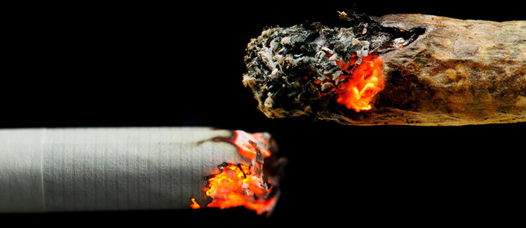 Tabakrauchen vs. marihuana-rauchen