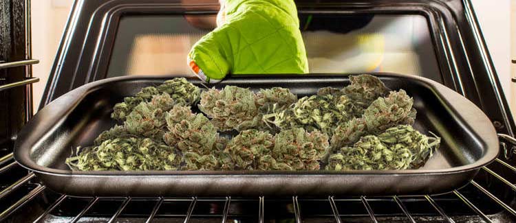 1. bereite dein cannabisöl oder deine cannabutter zu