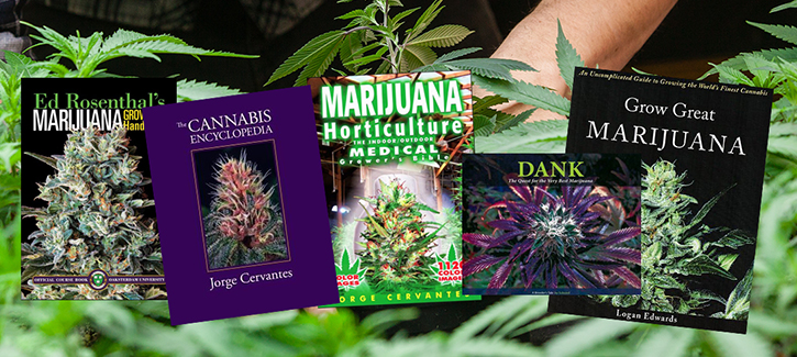 EINE PACKUNG CANNABISSAMEN UND EIN BUCH ÜBER DEN CANNABISANBAU