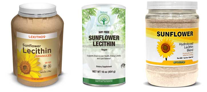 What are the safest sources of lecithin?