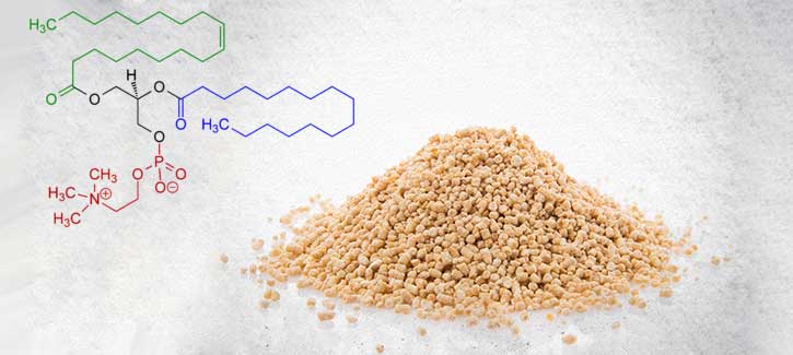 Lecithin