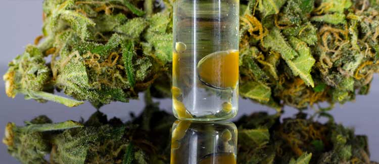 DOES PINENE HAVE MEDICINAL BENEFITS?