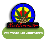 Next Generation Seed Company