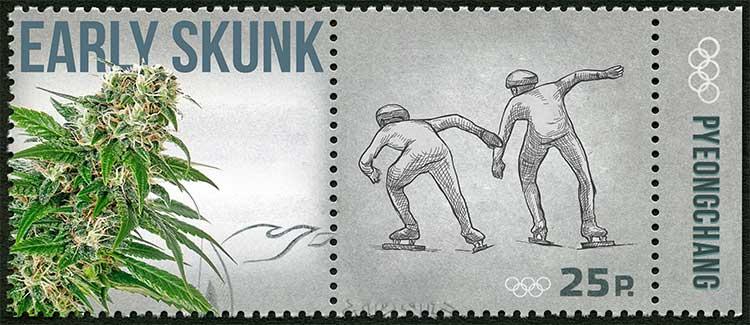 Patinage de vitesse sur piste courte - early skunk