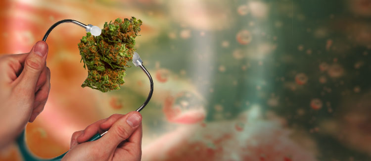 CAN CANNABIS CURE INTRACTABLE HICCUPS?