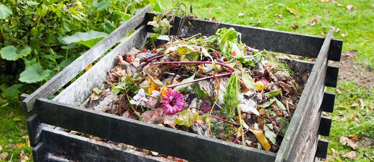 Wie du veganics in deinem garten einführst