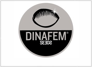 Dinafem Seeds