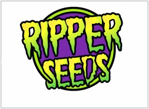 Ripper Seeds