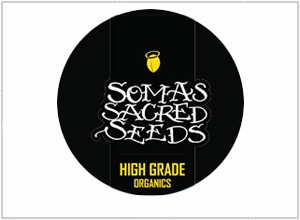 Soma Seeds