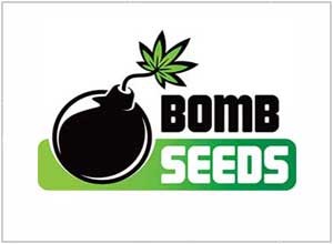 Bomb Seeds