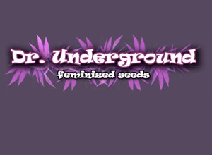 Dr. Underground